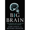 Big Brain - Paperback