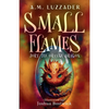 Small Flames Jory the Orange Dragon - Paperback