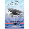 One Fighter Pilot's War - Hardcover