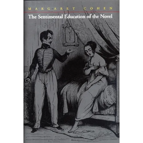 The Sentimental Education of the Novel - Paperback