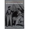 The Sentimental Education of the Novel - Paperback