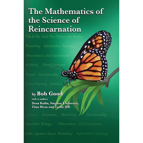 The Mathematics of the Science of Reincarnation: The Matrix of Consciousness - Paperback