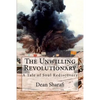 The Unwilling Revolutionary: A Tale of Soul Rediscovery - Paperback