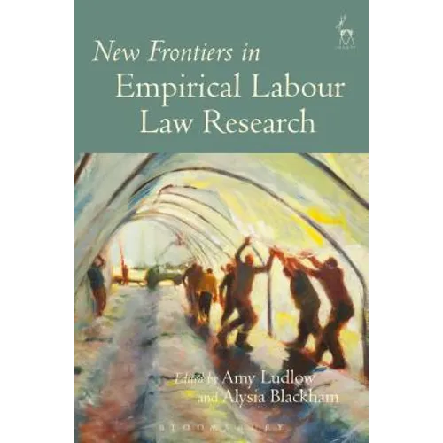 New Frontiers in Empirical Labour Law Research - Paperback
