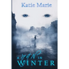 A Man in Winter - Paperback
