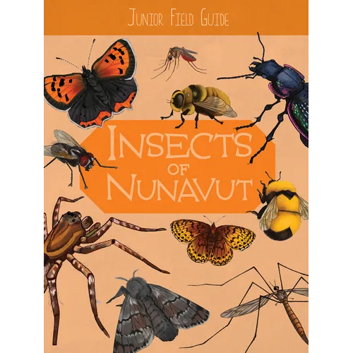 Junior Field Guide: Insects of Nunavut: English Edition - Paperback