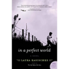 In a Perfect World - Paperback
