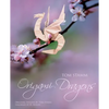 Origami Dragons - Paperback