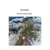 Illuminated - Paperback