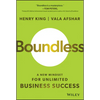 Boundless: A New Mindset for Unlimited Business Success - Hardcover