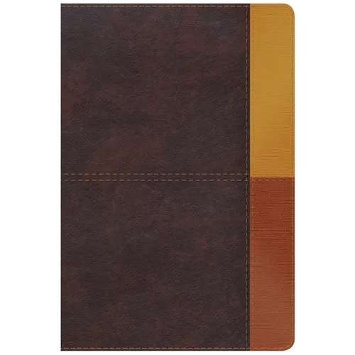 Rvr 1960 Biblia de Estudio Arcoiris, Cocoa/ Terracota Símil Piel Con Índice - Imitation Leather