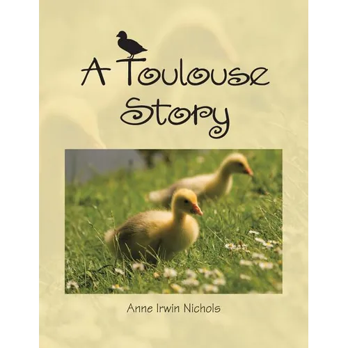A Toulouse Story - Paperback