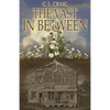 The Vast In Between - Paperback