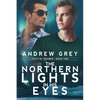 The Northern Lights in His Eyes - Paperback