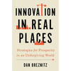Innovation in Real Places: Strategies for Prosperity in an Unforgiving World - Hardcover