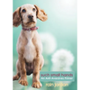 Such Small Hands: An Anti-Aversives Primer - Paperback