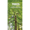 Trees: An Introduction to Familiar North American Species