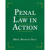 Penal Law in Action - Paperback