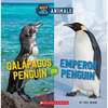 Galapagos Penguin or Emperor Penguin (Wild World: Hot and Cold Animals): Volume 6 - Paperback