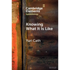 Knowing What It Is Like - Paperback