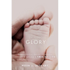 Shining Glory: Theological Reflections on Terrence Malick's Tree of Life - Hardcover