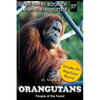 Orangutans: People of the Forest - Paperback