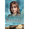 The Stranger from the Sea: A Novel of Cornwall, 1810-1811 - Paperback