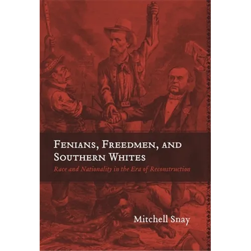 Fenians, Freedmen, and Southern Whites: Race and Nationality in the Era of Reconstruction - Paperback