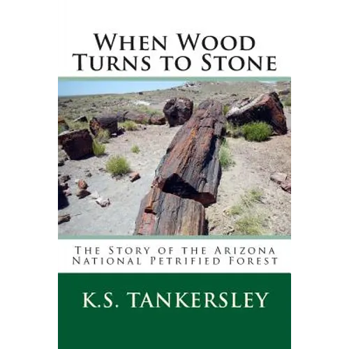 When Wood Turns to Stone: The Story of the Arizona National Petrified Forest - Paperback