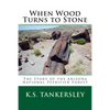 When Wood Turns to Stone: The Story of the Arizona National Petrified Forest - Paperback