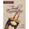 Torah Encounters: Numbers - Paperback