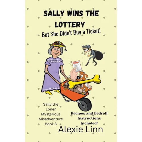 Sally Wins the Lottery -- But She Didn't Buy the Ticket - Paperback