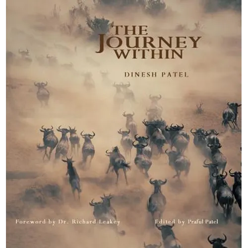 The Journey Within - Hardcover