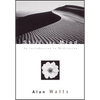 Still the Mind: An Introduction to Meditation - Paperback