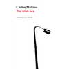 The Irish Sea - Paperback