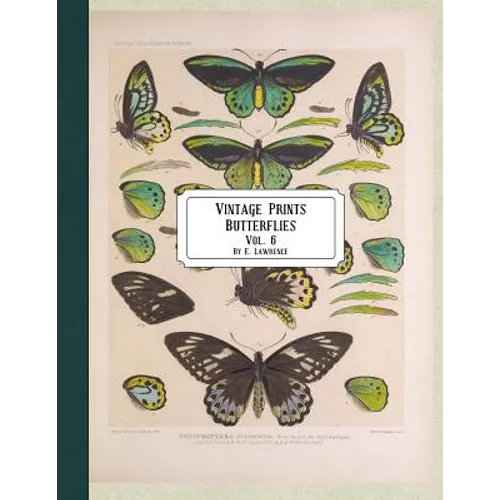 Vintage Prints: Butterflies: Vol. 3 - Paperback