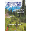 Guideposts to Meaning: Discovering What Really Matters - Paperback