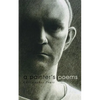 A Painter's Poems - Paperback