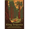 King Sequoia: The Tree That Inspired a Nation, Created Our National Park System, and Changed the Way We Think about Nature - Paperback