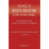Jung's Red Book for Our Time: Searching for Soul Under Postmodern Conditions Volume 4 - Paperback
