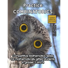 Practice Combinatorics: Level 2 (ages 9 to 11) - Paperback