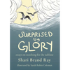 Surprised by Glory: Essays on Searching for the Sublime - Paperback