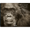 Face to Face: With the Great Apes - Hardcover