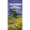 California Trees & Wildflowers: A Folding Pocket Guide to Familiar Plants