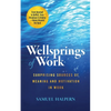 Wellsprings of Work: Surprising Sources of Meaning and Motivation in Work - Paperback