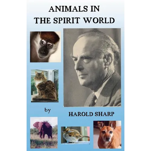 Animals in the Spirit World - Paperback