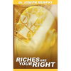 Riches Are Your Right - Paperback