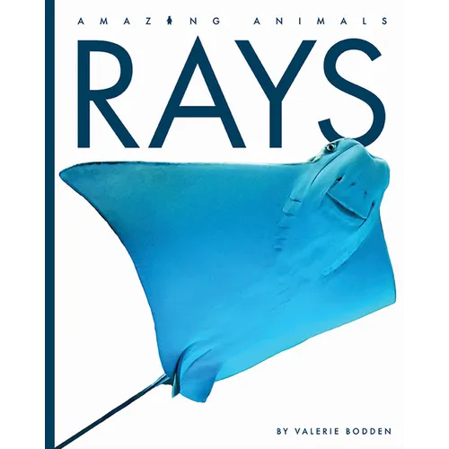 Rays - Paperback