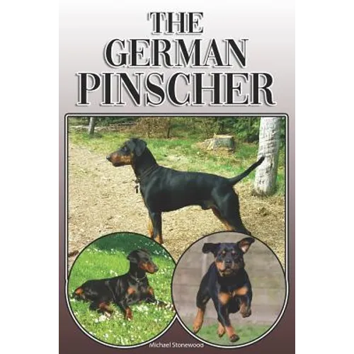 The German Pinscher: A Complete and Comprehensive Owners Guide To: Buying, Owning, Health, Grooming, Training, Obedience, Understanding and - Paperback