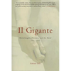 Il Gigante: Michelangelo, Florence, and the David 1492-1504 - Paperback